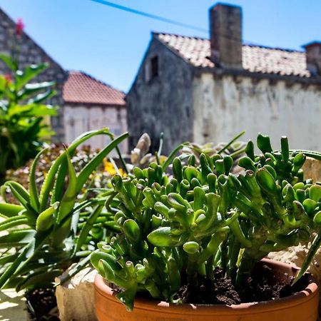 Apartment Hladilo "Nostalgia" Dubrovnik Dış mekan fotoğraf